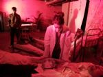 Portal Web Series